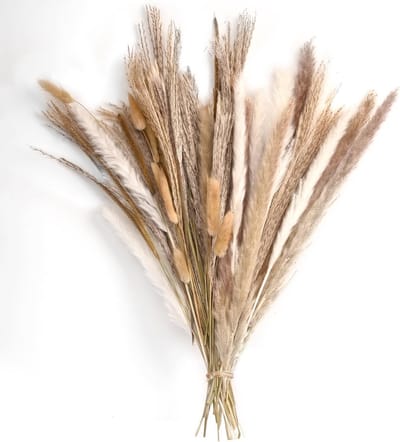 Boho Boeket Gedroogde Bloemen Pampasgras en Konijnenstaarten voor Vaas Decoratie Woonkamer Slaapkamer