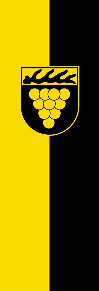Vlag Weinstadt 100x150cm