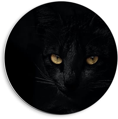 Forex Wandcirkel - Zwarte Kat met Felle Ogen - 40x40cm Foto op Wandcirkel (met ophangsysteem)