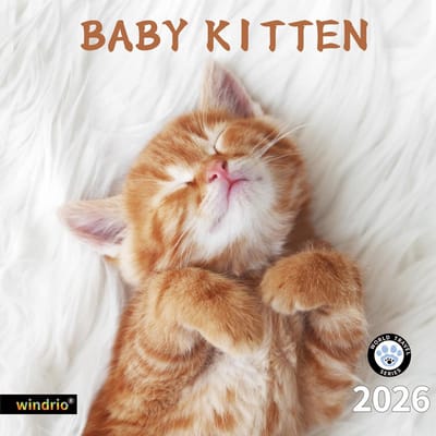 Grote Wandkalender 2025 (Nov 2024 - Dec 2025) met Baby Kitten Thema - Plannen en Organiseren