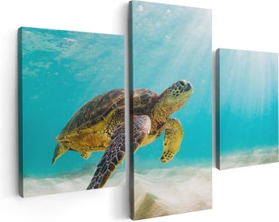 Artaza Canvas Schilderij Drieluik Schildpad Zwemt in de Helder Blauwe Zee - 90x60 - Foto Op Canvas - Canvas Print