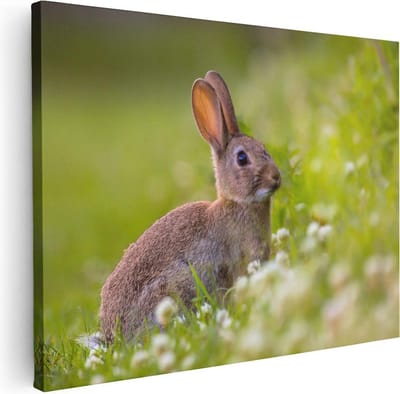 Artaza Canvas Schilderij Konijn In Het Gras - 40x30 cm - Klein - Wanddecoratie Bos - Muurdecoratie Dieren - Kamer Accessoires Natuur