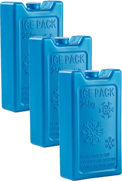 Plasticforte 250 grams koelelementen - 6x stuks - 13 x 7 x 3 cm - blauw - kunststof - met sneeuwvlokken print - koeltas - koelbox