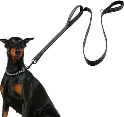 Dailygoods- Hondenriem 2 meter - Reflecterende Nylon Riem - Gevoerd Neopreen Handgreep - Dubbele Handgreep - Geschikt voor Grote Honden - Comfortabel en Stevig - Hondentuig