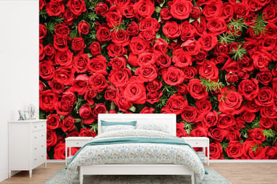 Behang - Fotobehang Rozen - Rood - Struik - Breedte 390 cm x hoogte 260 cm