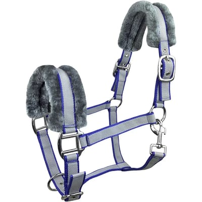 Bont halster voor paard York Benny