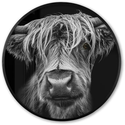 Poster in lijst Rond - Fotolijst 60x60 cm - Posters - Schotse Hooglander - Horens - Zwart - Wit - Koe - Wild - Dieren - Ronde posterlijst zwart - Decoratie - Wanddecoratie woonkamer - Muurdecoratie slaapkamer
