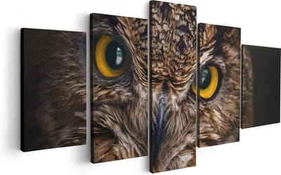 Artaza Canvas Schilderij Vijfluik Uilenkop Met Gele Ogen - Uil - 100x50 - Foto Op Canvas - Canvas Print