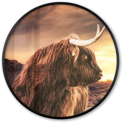 Poster in lijst Rond - Fotolijst 60x60 cm - Posters - Schotse hooglander - Zon - Horizon - Koe - Dieren - Ronde posterlijst zwart - Decoratie - Wanddecoratie woonkamer - Muurdecoratie slaapkamer