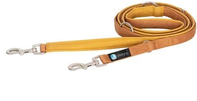 AnnyX Verstelbare Hondenriem – 3 Meter – 2,5 cm Breed – Voor Middelgrote en Grote Honden-goudlokje-okergeel