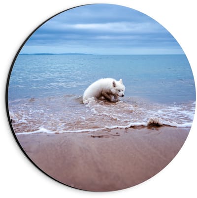 Dibond Wandcirkel - Witte Hond in de Zee - 20x20cm Foto op Aluminium Wandcirkel (met ophangsysteem)