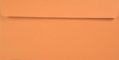 Gladde oranje enveloppen A4 - 110 x 220 mm - 25 stuks - HK zelfklevend met plakstrip - 120 gram - Kreative - Netuno