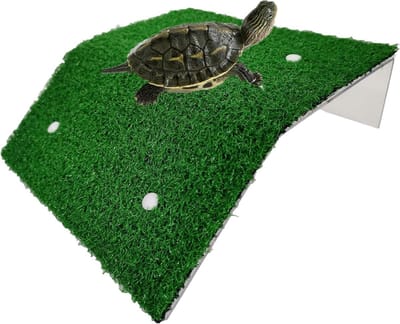 Reptielen Terras - Rustplek Aquarium - Zonnebaden Schildpad - Met Kunstgras - 12x20cm - Groen