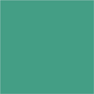BIC Visa Color Kleurstiften, lijndikte 3 mm, mid groen, 12 stuk/ 1 doos