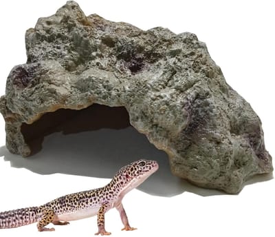 Dailygoods- Reptielenverstopplaats Natuurlijke Decoratie - Schuilplaats voor Hagedissen/Slangen/Schildpadden - Terrarium Ornament - Habitat voor Amfibieën - Comfortabele Rustplaats - Reptielenhuis