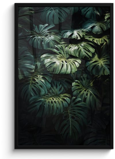 Poster in lijst - Fotolijst 60x90 cm - Posters - Plant - Monstera - Lichtinval - Posterlijst zwart - Decoratie - Wanddecoratie woonkamer - Muurdecoratie slaapkamer