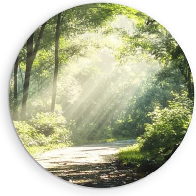 Saammp Muurcirkel Hout - Bos - Bomen - Pad - Natuur - Landschap - Ø 90 - Wandcirkel - Wanddecoratie Cirkel - Muurdecoratie Woonkamer - Slaapkamer decoratie - Rond Schilderij