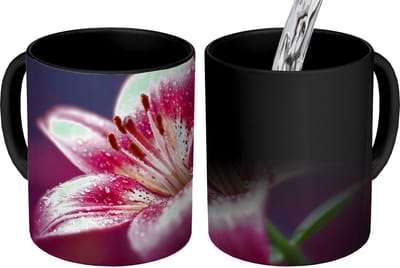 Magische Mok - Foto op Warmte Mokken - Koffiemok - Roze - lelie - Dauwdruppels - Magic Mok - Beker - 350 ML - Theemok