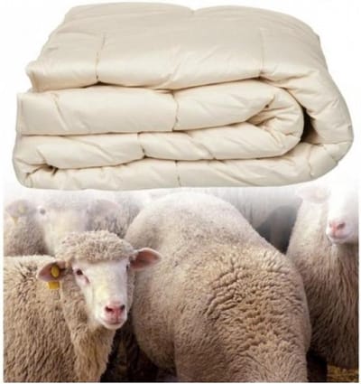 Dekbed 140x200 4-seizoenen van Texels Schapenwol