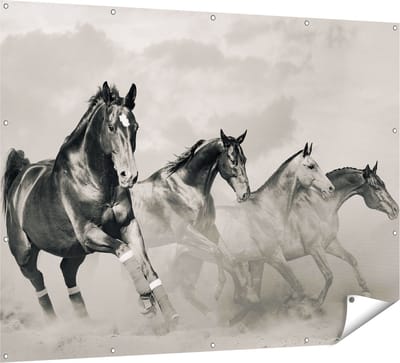 Gards Tuinposter Vier Paarden naast Elkaar - Zwart Wit - 160x120 cm - Tuindoek - Tuindecoratie - Wanddecoratie buiten - Tuinschilderij