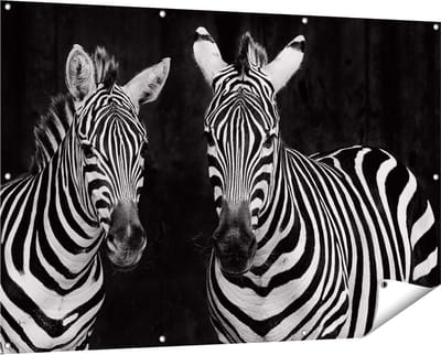 Gards Tuinposter Twee Zebra's - Zwart Wit - 150x100 cm - Tuindoek - Tuindecoratie - Wanddecoratie buiten - Tuinschilderij