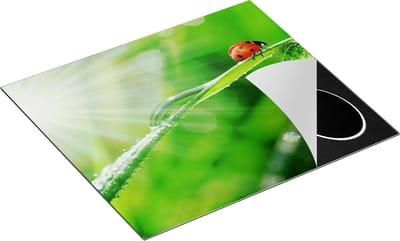 Chefcare Inductie Beschermer Lieveheersbeestje op een Grasspriet - 60x50 cm - Afdekplaat Inductie - Kookplaat Beschermer - Inductie Mat