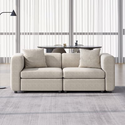 Guyii bank - Velvet de bank - Modern Oversized De Bank for Woonkamer met 2 Kussens Kussens, 2-zitbank de Bank voor woonkamer