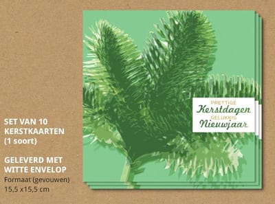 Kerstkaarten Kersttakken - 10 stuks - met enveloppen