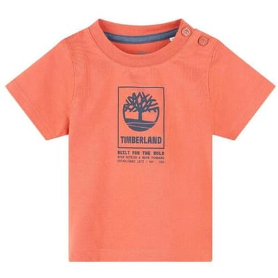 T-shirt Korte Mouw Timberland T60100