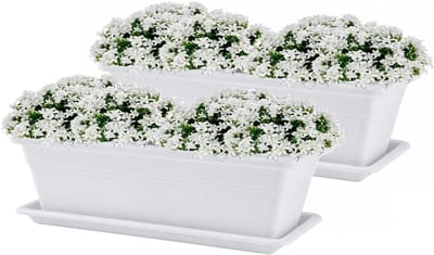 Plasticforte Plantenbakken met water opvangschotels - wit - 2x stuks - 60 x 20 x 15 cm - tuin - balkon - terras - rechthoek