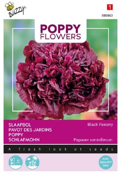 Buzzy® Poppy Flowers, Papaver Black Paeony - Diep donkere, dubbele bloemen voor een luxe uitstraling
