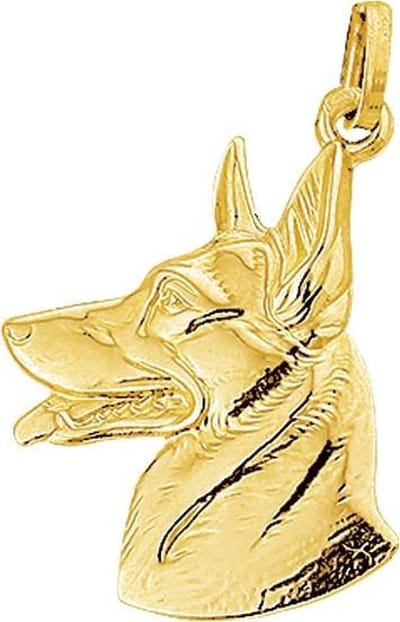 The Jewelry Collection Bedel Herdershond - Goud