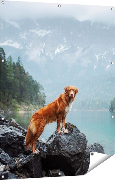 Gards Tuinposter Retriever Hond bij het Water in de Bergen - 90x120 cm - Tuindoek - Tuindecoratie - Wanddecoratie buiten - Tuinschilderij