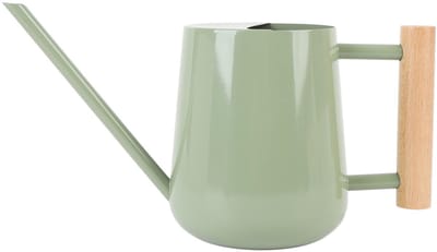 Dailygoods - Roestvrijstalen Watering Kan met Houten Handgreep