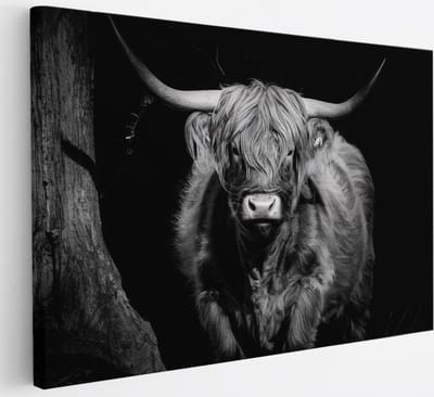 Saammp Canvas Schilderij - Schotse Hooglander Koe - Zwart-Wit - Dieren - Portret - 30x20 - Foto op canvas - Wanddecoratie - muurdecoratie Woonkamer - Slaapkamer decoratie - Canvas Print