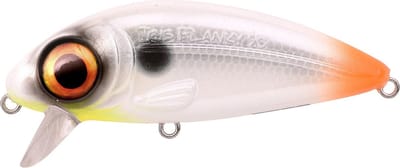 Spro Iris Flanky Hot Tail, 9cm, 20gr, Slow Floating (zonder ratel) | Plug