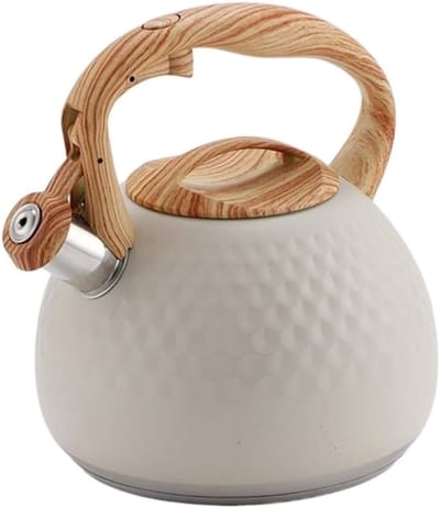 Waterketel Roestvrijstaal - Theeketel Kookplaat - Water Koken - Hoorbaar Fluitje - 2.8 Liter