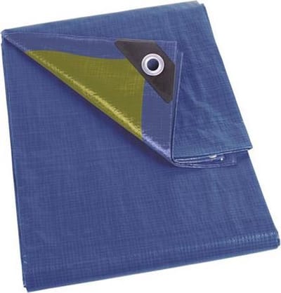 Perel Dekzeil, sterk, 36 ringen, versterkte hoeken, rechthoekig, blauw/groen, 110 g/m², 8 x 10 m
