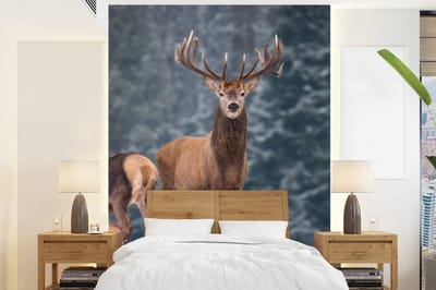 Behang - Fotobehang Bosdieren - Hert - Landschap - Winter - Sneeuw - Natuur - Breedte 205 cm x hoogte 280 cm