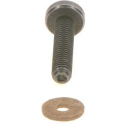 Schroef, injectiesysteem BOSCH F 00N 202 193