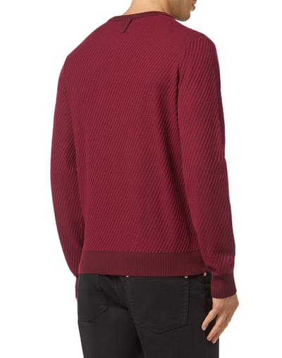 Pullover Ronde Hals Crest