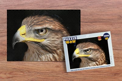 Puzzel Een close up van het gezicht van een strak kijkende buizerd - Legpuzzel - Puzzel 1000 stukjes volwassenen