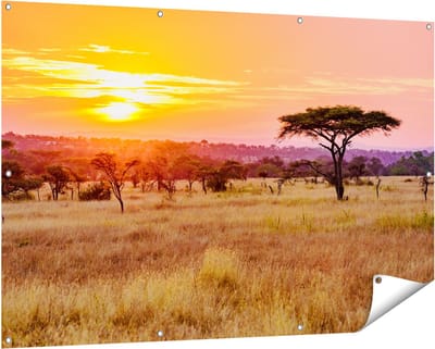 Gards Tuinposter Zonsondergang in de Savanne - 150x100 cm - Tuindoek - Tuindecoratie - Wanddecoratie buiten - Tuinschilderij
