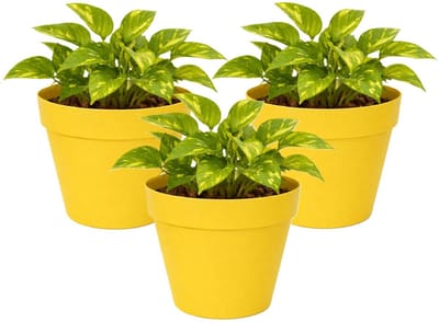 Mega Collections Plantenpot / bloempot - 3x - kunststof - geel - binnen/buiten - D20 x H17 cm