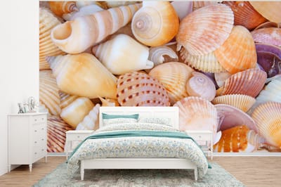Behang - Fotobehang Schelpen - Strand - Zomer - Oranje - Breedte 400 cm x hoogte 300 cm