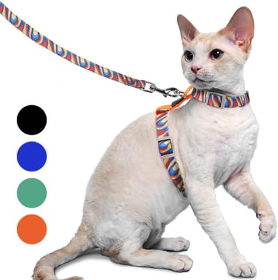 Lexium Kattenharnas - Kattentuigje met looplijn - Katten harnas - Kattenharnas met leiband - Kattenharnas met looplijn - Kattenlijn - Kattentuig