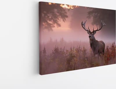 Saammp Canvas Schilderij - hert met zonsopgang in de mist - Natuur - Dieren - 45x30 - Foto op canvas - Wanddecoratie - Muurdecoratie Woonkamer - Slaapkamer decoratie - Canvas Print