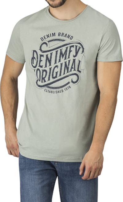 DENIMFY Heren T-Shirt DFNuri regular fit Groen S Ronde Hals Volwassenen t shirt heren met print