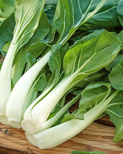 2 sets - Japanse Pak Choy Zaden Brassica Campestris Eenjarig Taisai