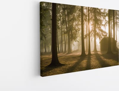 Saammp Canvas Schilderij - Huis - Grote Bomen - Landschap - Natuur - 45x30 - Foto op canvas - Wanddecoratie - Muurdecoratie Woonkamer - Slaapkamer decoratie - Canvas Print